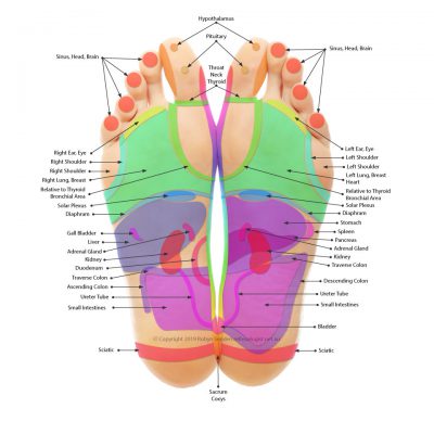 About Brisbane Reflexology by Robyn Senden